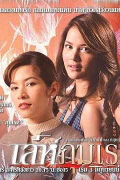 爱恨情仇2005