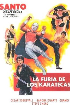 空手道杀手之怒