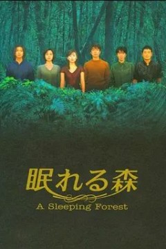 沉睡的森林