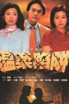 温柔陷阱2001