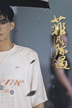 菲凡际遇