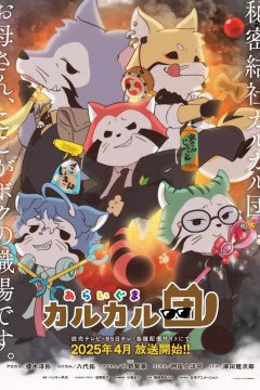 小浣熊