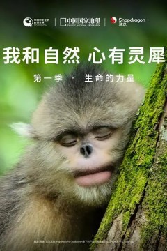 我和自然心有灵犀第一季