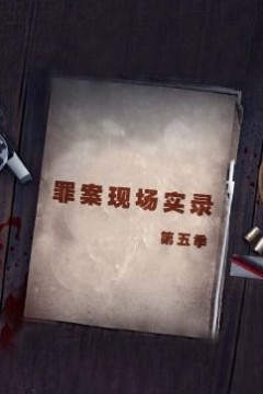 罪案现场实录第五季