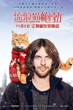 流浪猫鲍勃(原声版)