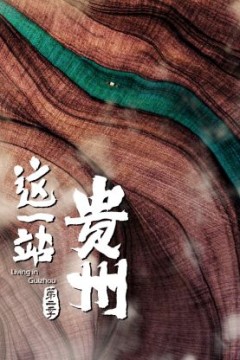 这一站，贵州第二季