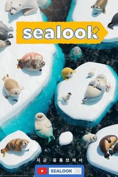 海豹看看
