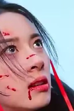 女将军来打工