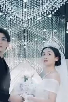 消失的前妻