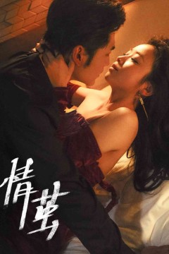 情茧