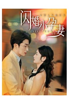 新闪婚小孕妻