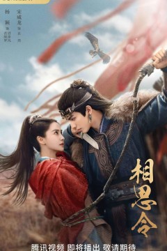 相思令2025