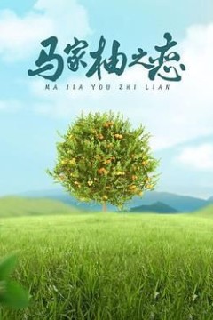 马家柚之恋