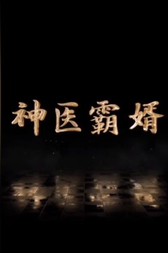 神医霸婿