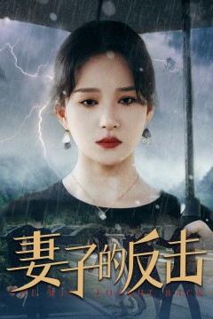 新妻子的反击