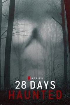 闹鬼实境28天