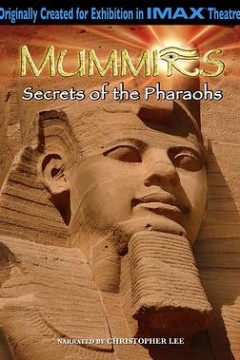 木乃伊法老之谜