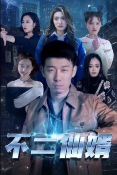 不二仙婿