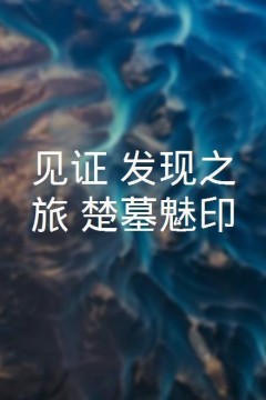 见证·发现之旅：楚墓魅印