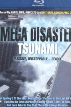 末日的地球：世纪海啸