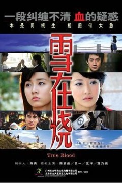 雪在烧2007