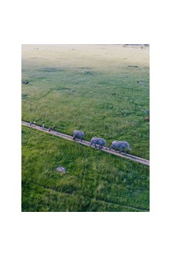 大自然的守护者