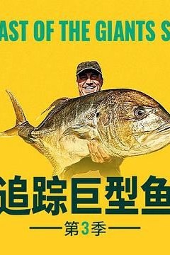 追踪巨型鱼第三季