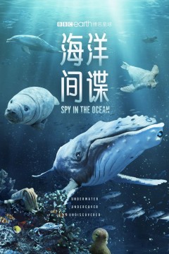 海洋间谍