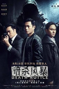 暗杀风暴国语版