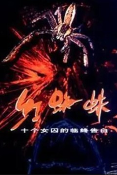 红蜘蛛1