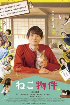 猫物件