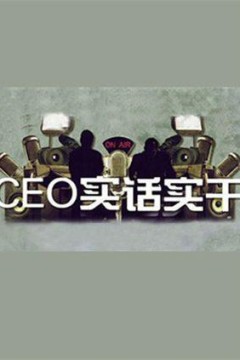 CEO实话实干
