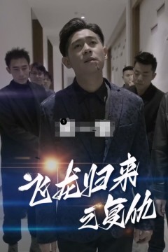 飞龙归来
