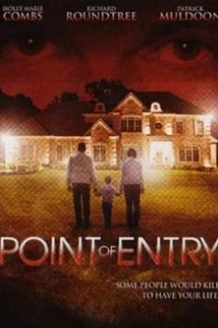 切入点(国语版)