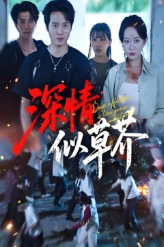 深情似草芥