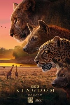 动物王国(国语版)