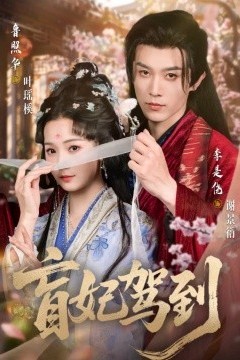 盲妃驾到