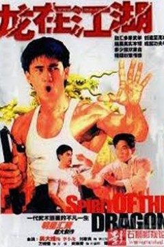 李小龙传粤语