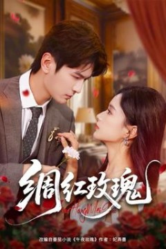 绸红玫瑰