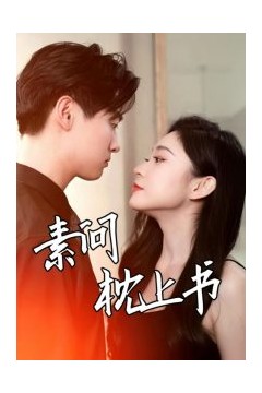素问枕上书