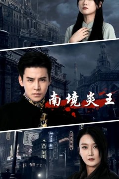 南境炎王