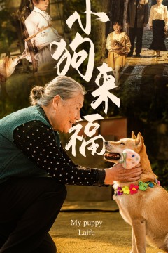 小狗来福