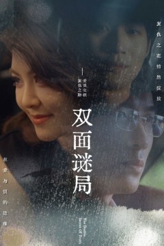 双面谜局