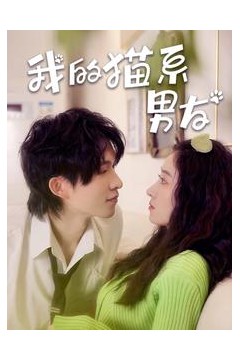 我的猫系男友