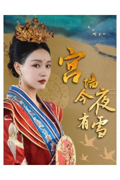 宫墙今夜有雪