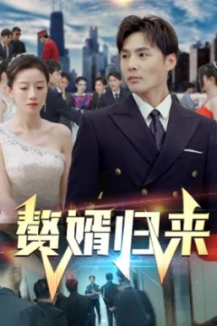赘婿归来