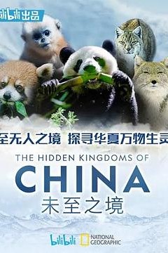 未至之境