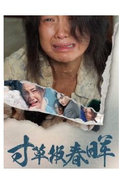 寸草报春晖