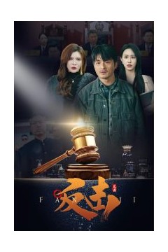 反击41集