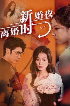 新婚夜，离婚时
